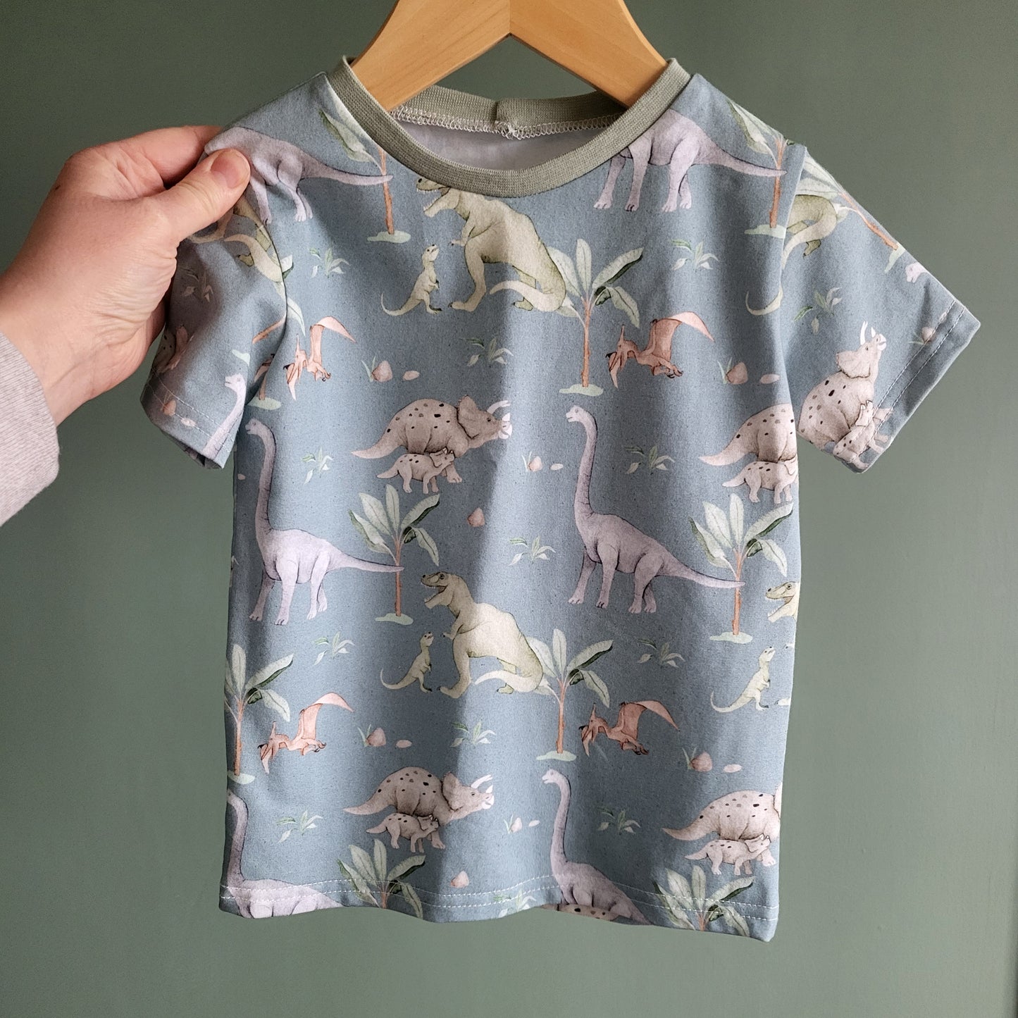 2-3 Dinosaurs Tshirt