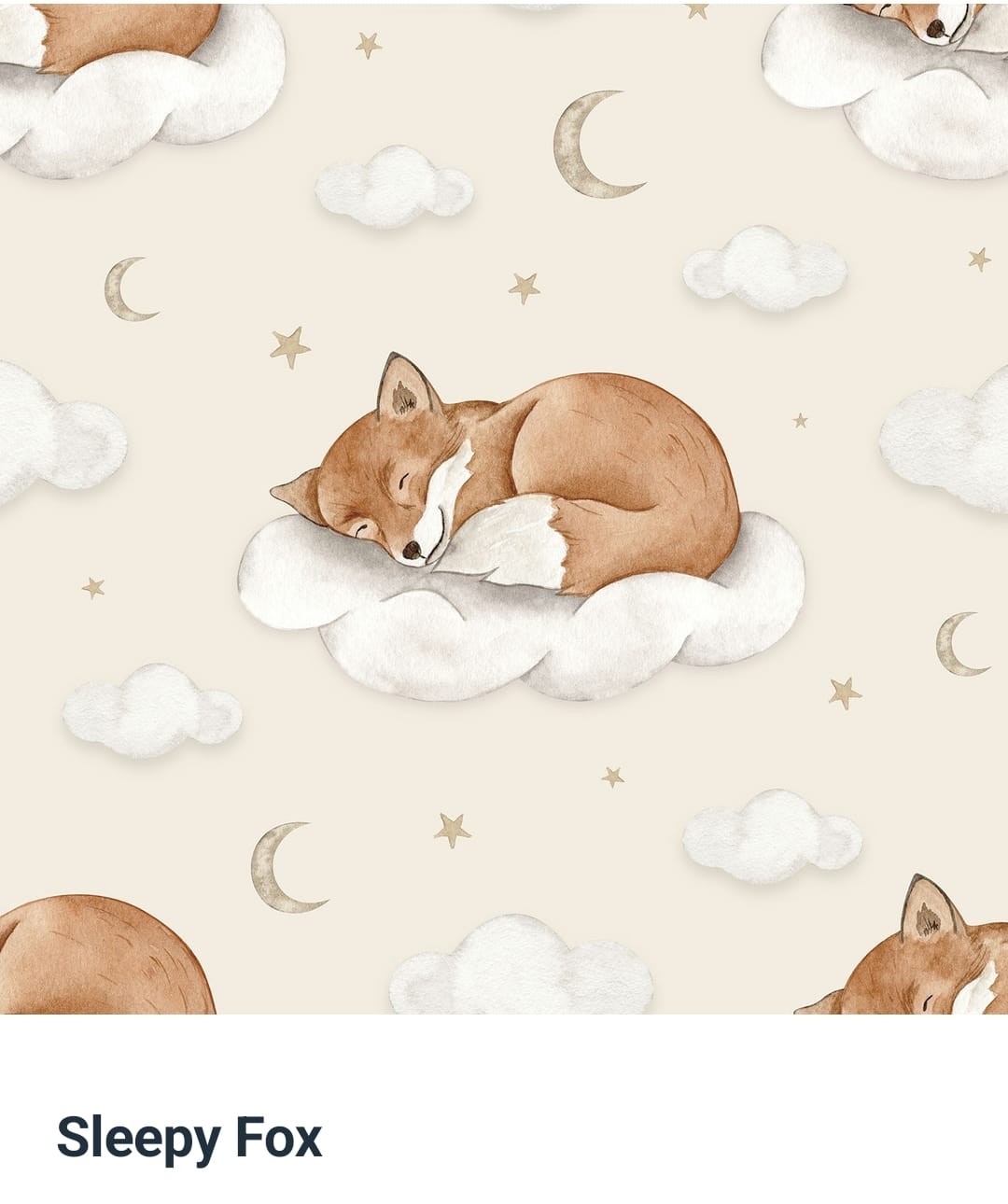 Sleepy Fox Minky Blanket