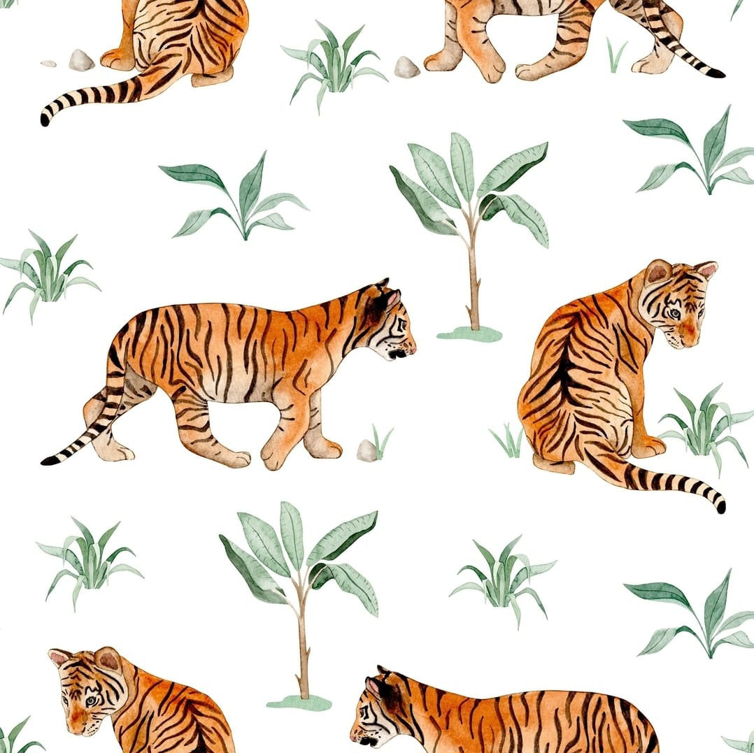 Tiger Cubs Minky Blanket