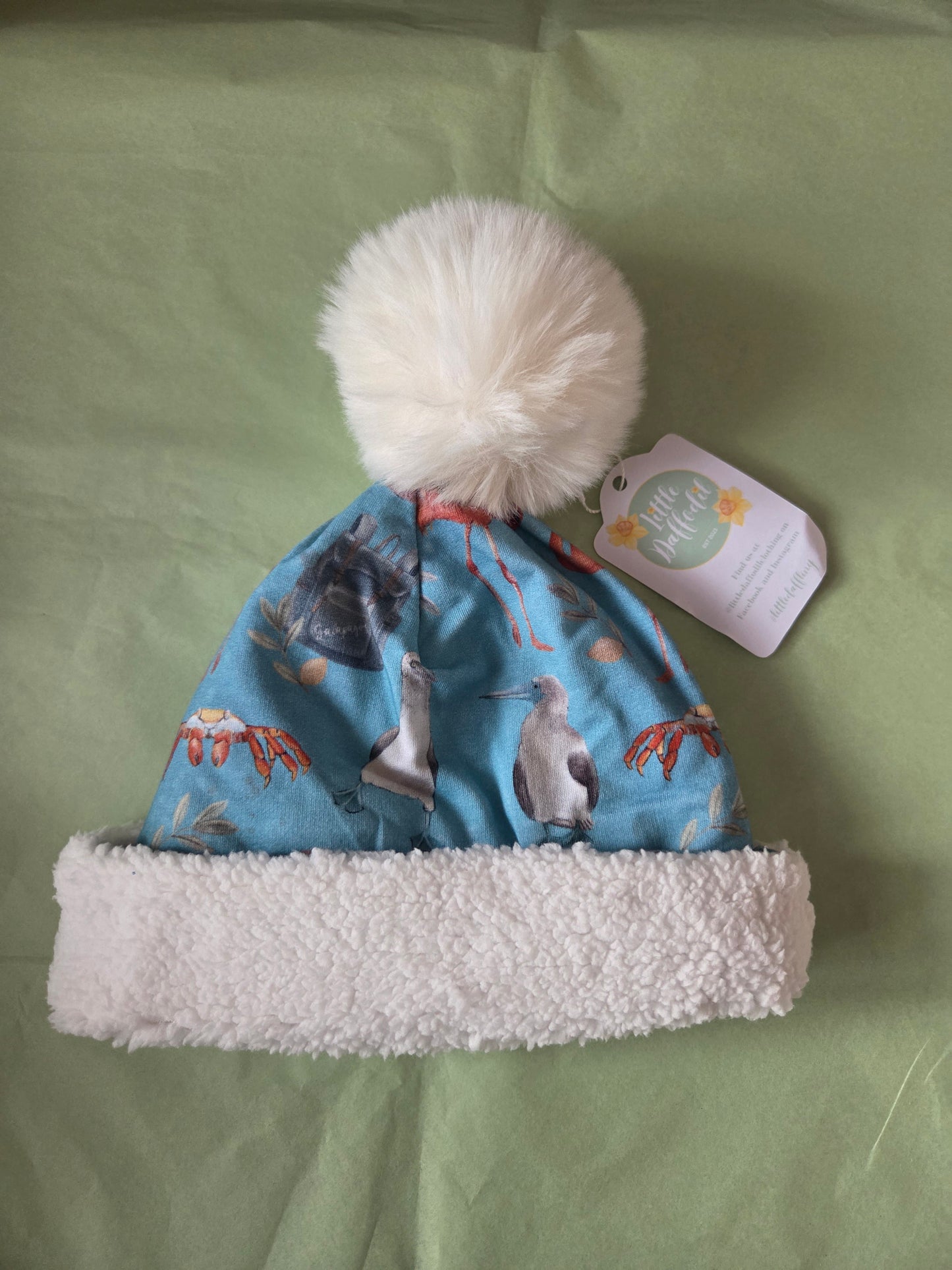 Toddler (age 1-3) galapagos bobble hat